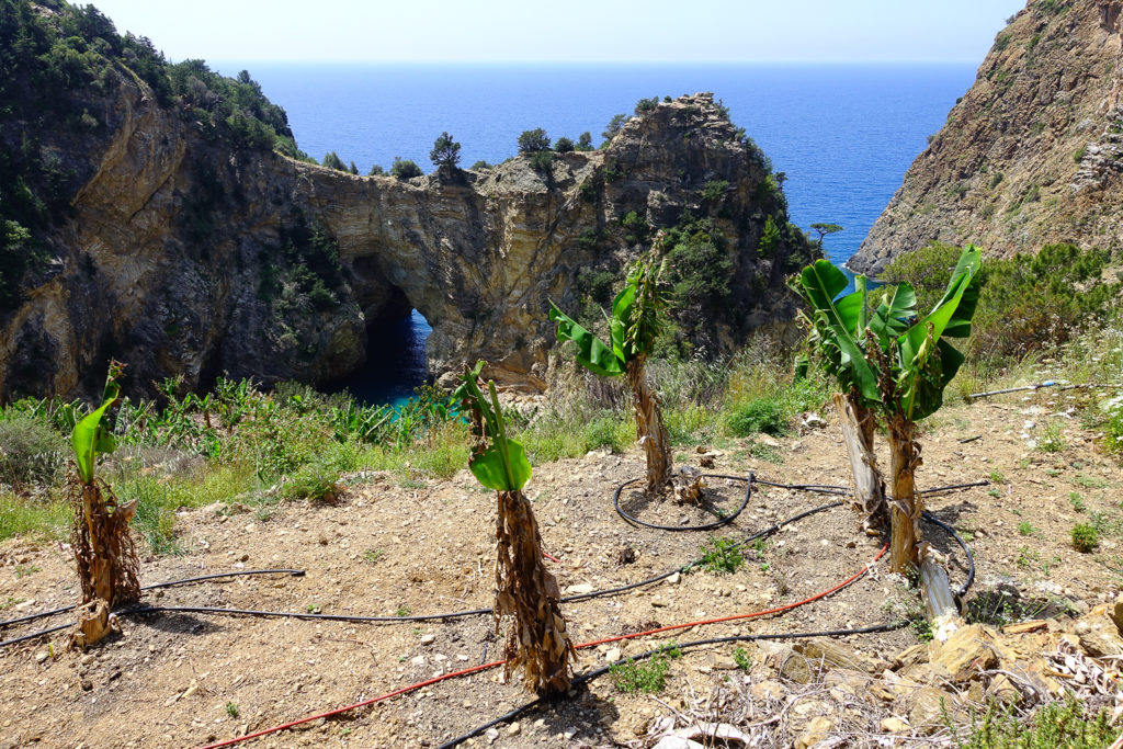 Alanya-091