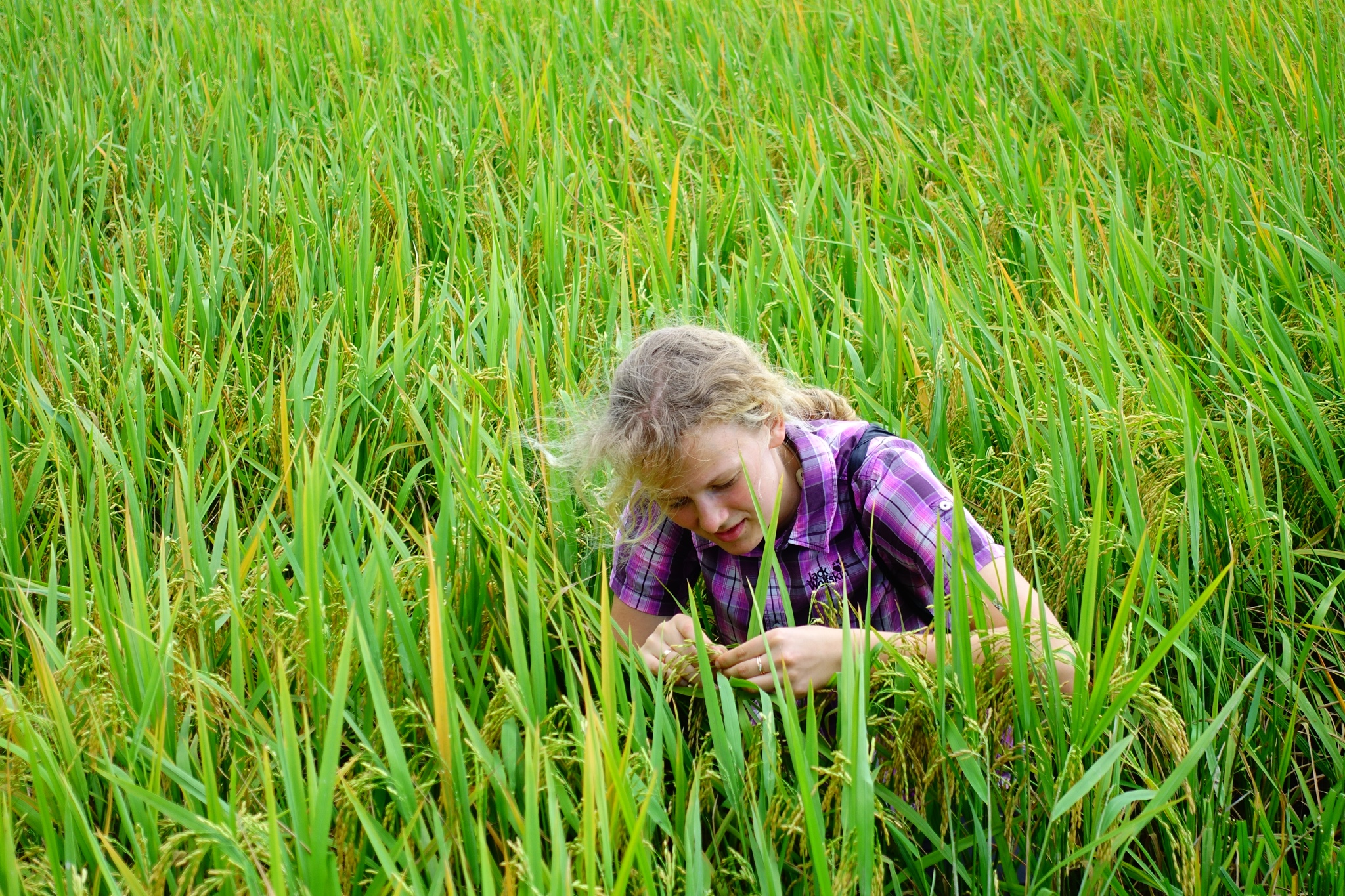 Mekong Delta ilu ja võlu